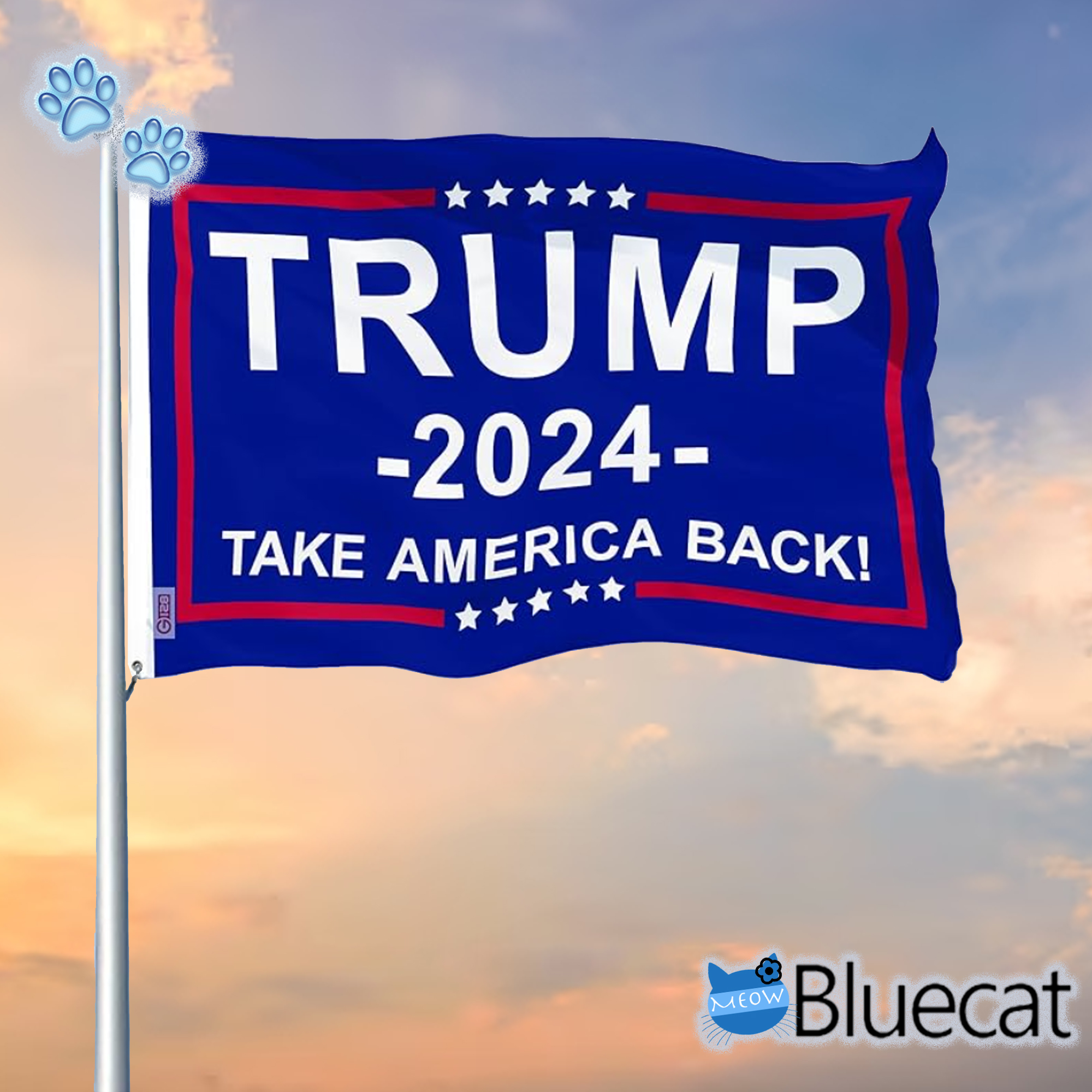 Trump 2024 Election Take America Back Blue Flag