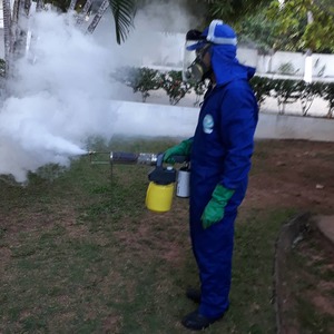 oferta Controle de Mosquitos da empresa Realprag Saúde Ambiental