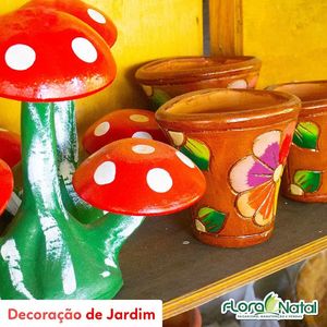 oferta Vasos Decoração de Jardim da empresa Flora Natal