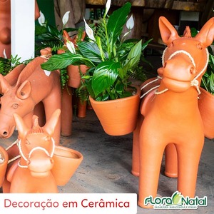 oferta Decoração em Cerâmica para Jardim da empresa Flora Natal