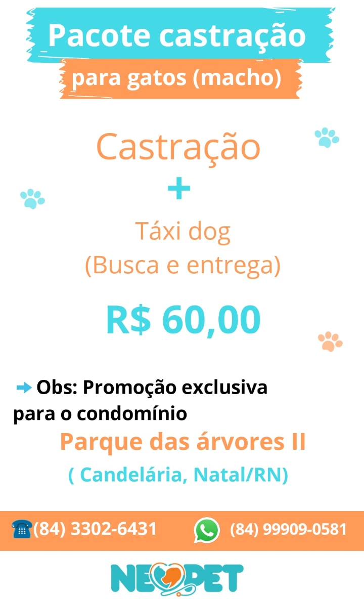 Promoção: Castração + Taxi Dog(busca e entrega)