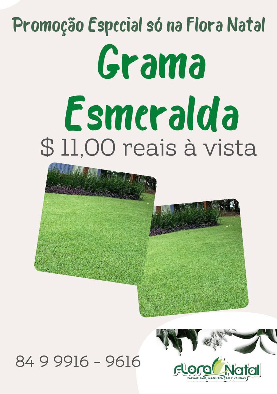 Promoção: Grama Esmeralda