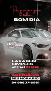 oferta Lavagem Simples de Carro da empresa Koala Auto Estética