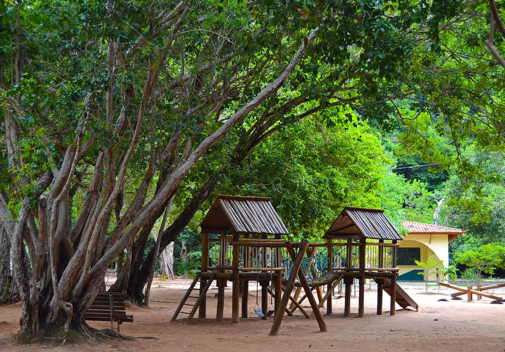 Descubra a Natureza Deslumbrante do Parque das Dunas em Natal, RN: Um Paraíso Ecológico