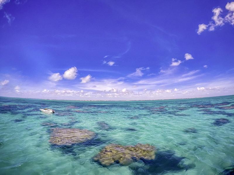 Descubra a Beleza Subaquática dos Parrachos de Maracajaú em Maxaranguape, RN