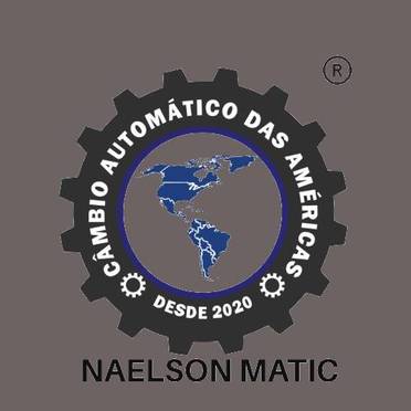 Logotipo da Empresa Naelson Matic