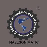 Logomarca da Empresa Naelson Matic