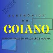 Logomarca da Empresa Eletrônica do Goiano
