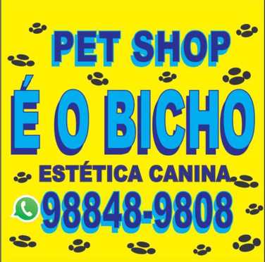 Logotipo da Empresa Pet Shop É O Bicho