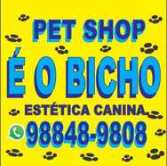 Logomarca da Empresa Pet Shop É O Bicho