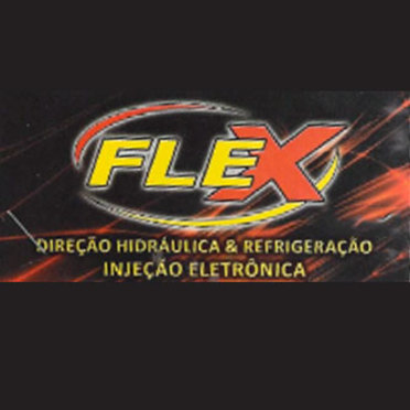 logo da empresa Flex Direção Hidráulica