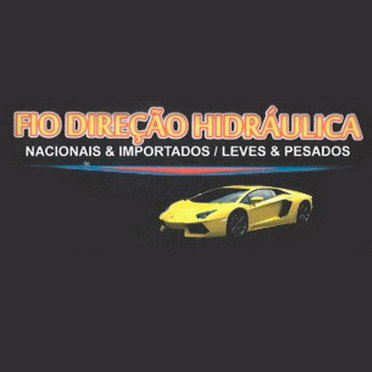 logo da empresa Fio Direção Hidráulica