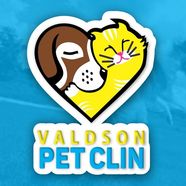 Logomarca da Empresa Valdson Petclin