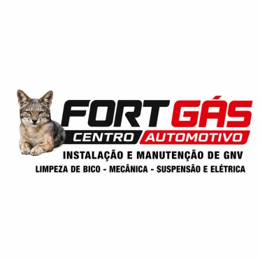 logo da empresa Fort Gás Centro Automotivo