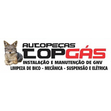 Logomarca Auto Peças Top Gás Instalação e Manutenção de GNV