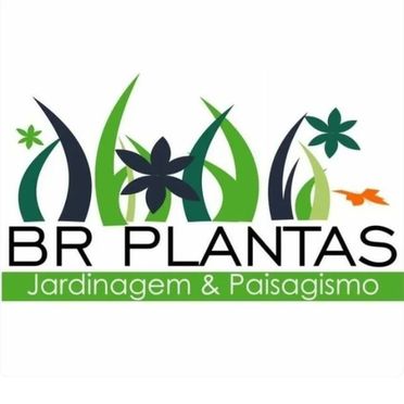 Logotipo da Empresa BR Plantas Paisagismo
