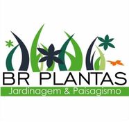Logomarca da Empresa BR Plantas Paisagismo
