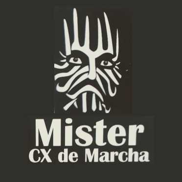Logotipo da Empresa Mister Caixa de Marcha