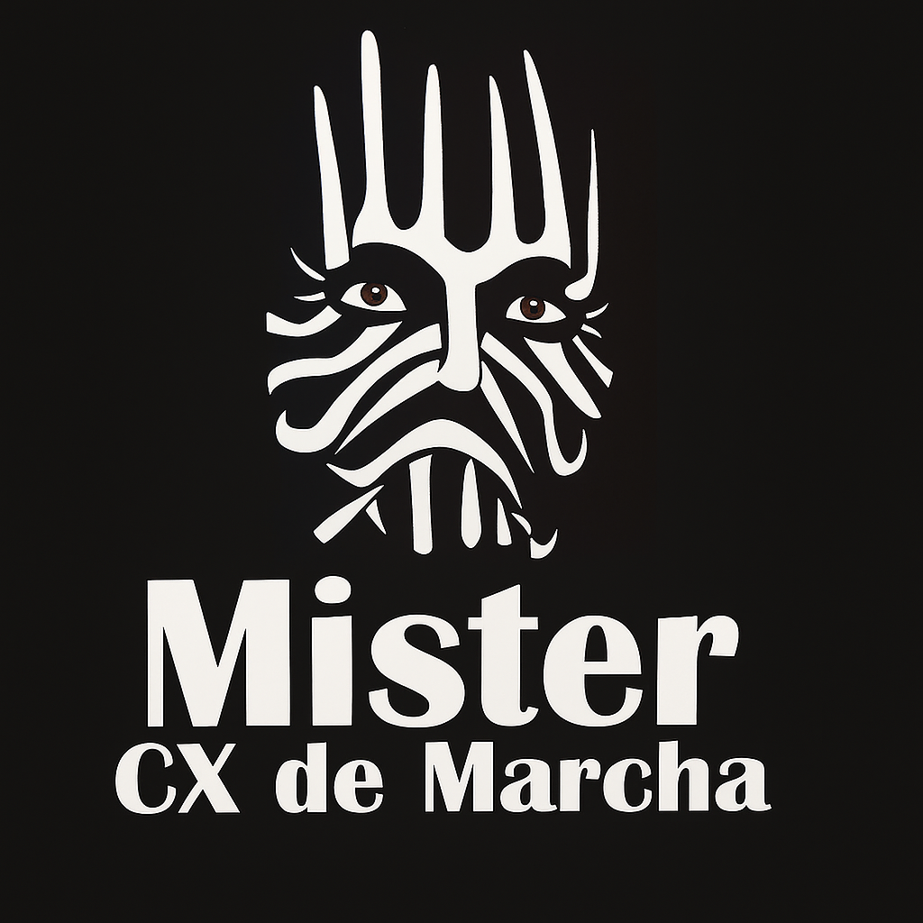 Logomarca da empresa Mister Caixa de Marcha