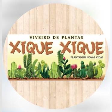 Logotipo da Empresa Xique Xique Viveiro de Plantas