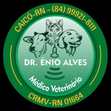 Logomarca Dr Enio Alves - Veterinário