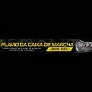 Logomarca da Empresa Flávio da Caixa de Marcha