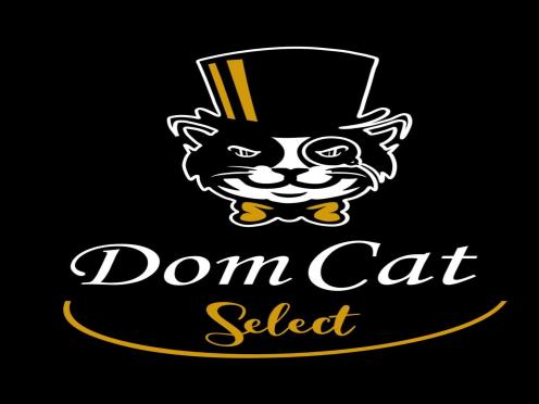 logo da empresa Barbearia Dom Cat Select