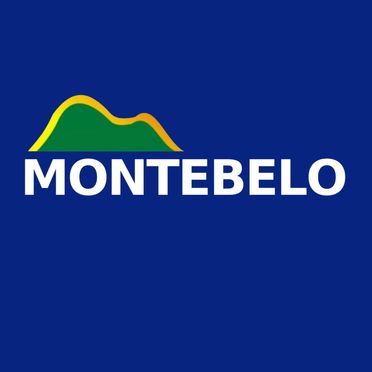 logo da empresa Monte Belo Express