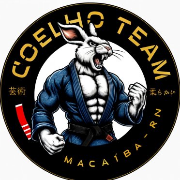 logo da empresa Coelho Team