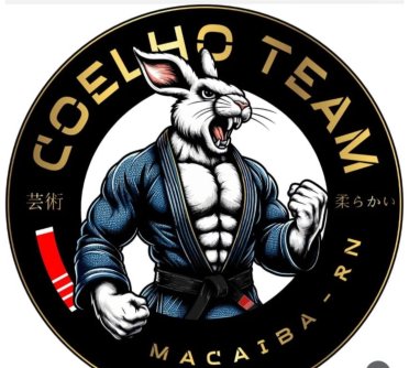 logo da empresa Coelho Team
