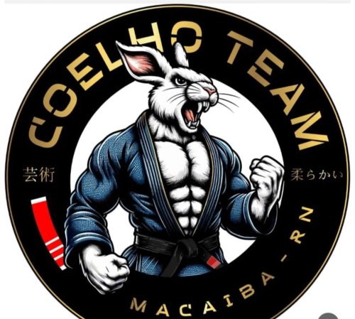 Logomarca da empresa Coelho Team
