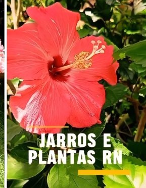 logo da empresa Jarros Plantas e Adubos Extremoz