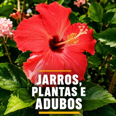 logo da empresa Jarros, Plantas e Adubos | Extremoz