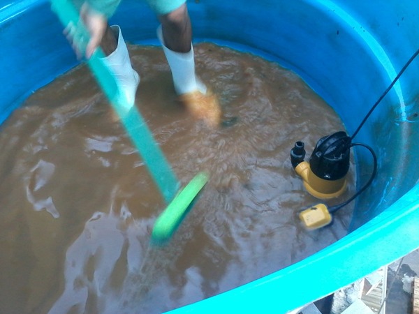 foto 3 de Nalbs Dedetizadora e Serviços