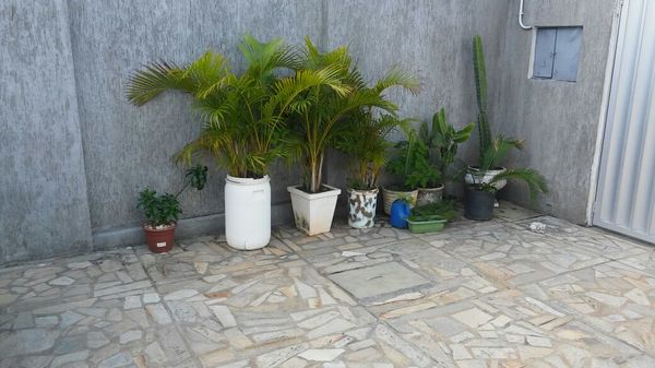 foto 3 de Paradise Water