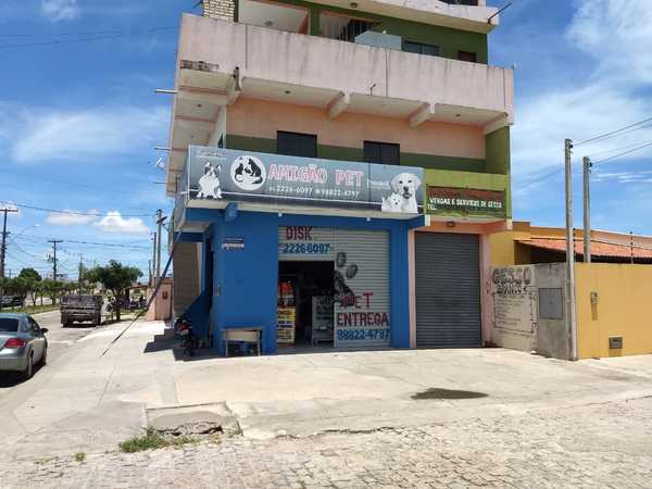 foto 3 de Amigão Pet