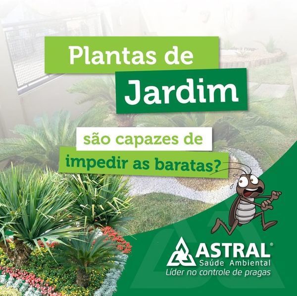 foto 3 de Astral Saúde Ambiental