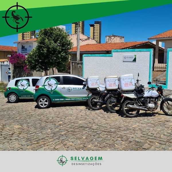 foto 1 de Selvagem Dedetizações e Serviços
