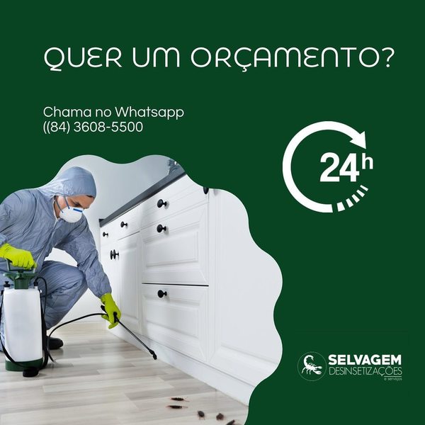 foto 4 de Selvagem Dedetizações e Serviços