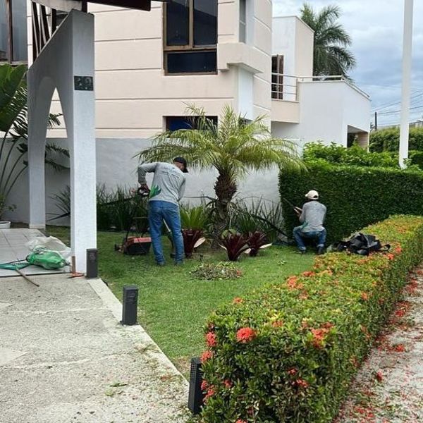 foto 1 de Canteiros Jardinagem e Paisagismo