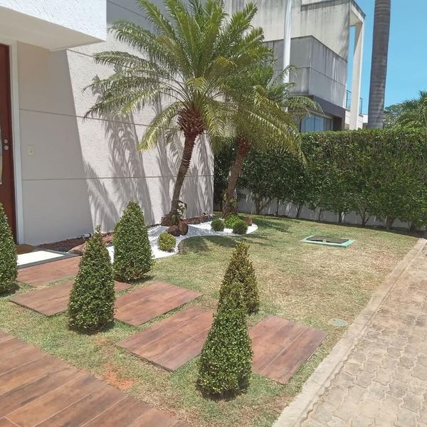 foto 2 de Canteiros Jardinagem e Paisagismo