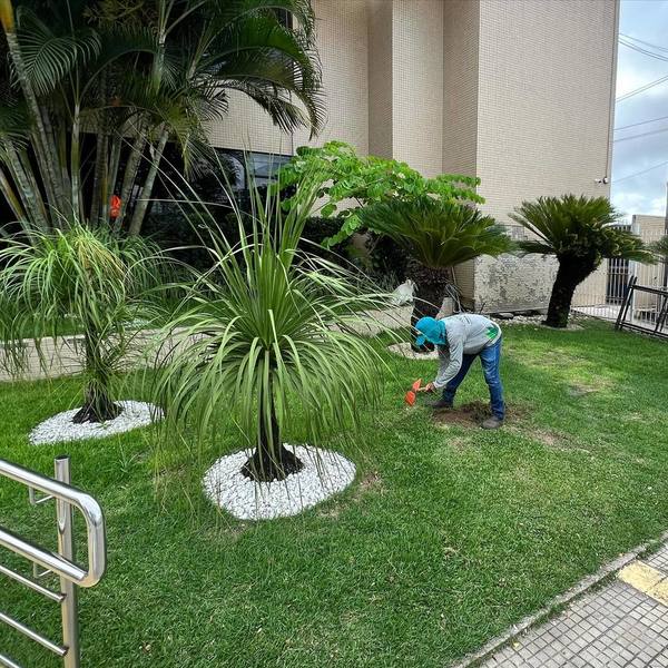 foto 3 de Canteiros Jardinagem e Paisagismo