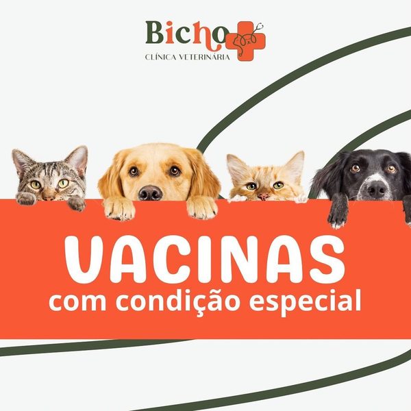 foto 3 de Bicho Mais Clínica Veterinária