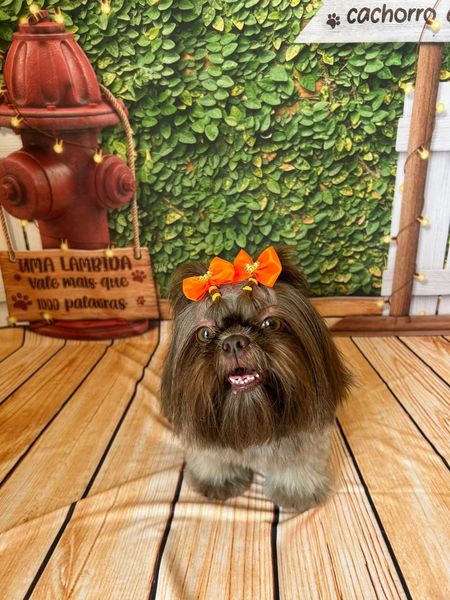 foto 3 de Pet Astrau - Pet Shop e Clínica Veterinária