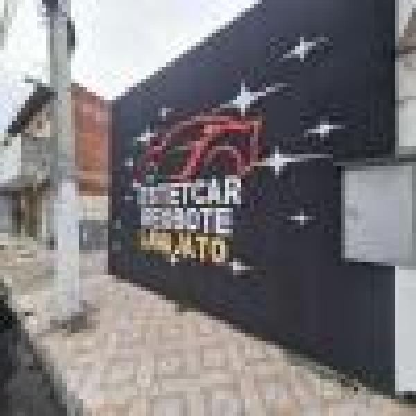 foto 3 de Estetcar Reobote Estética Automotiva