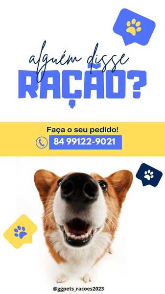 foto 3 de GG Pets Rações e Acessórios - Felipe Camarão