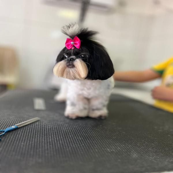 foto 1 de Ga Pet Shop