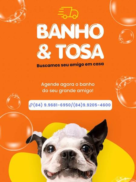 foto 2 de 3 Pets Estética Animal - Banho e Tosa e Acessórios