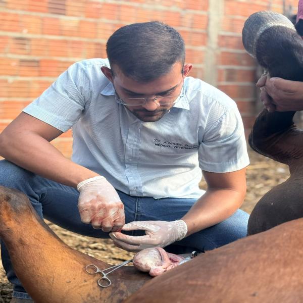 foto 4 de Barbosas Vet Atacadão - Ração e Atendimento Veterinário