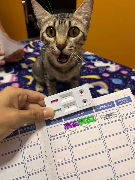 foto 1 de Vetsim - Clínica Veterinária